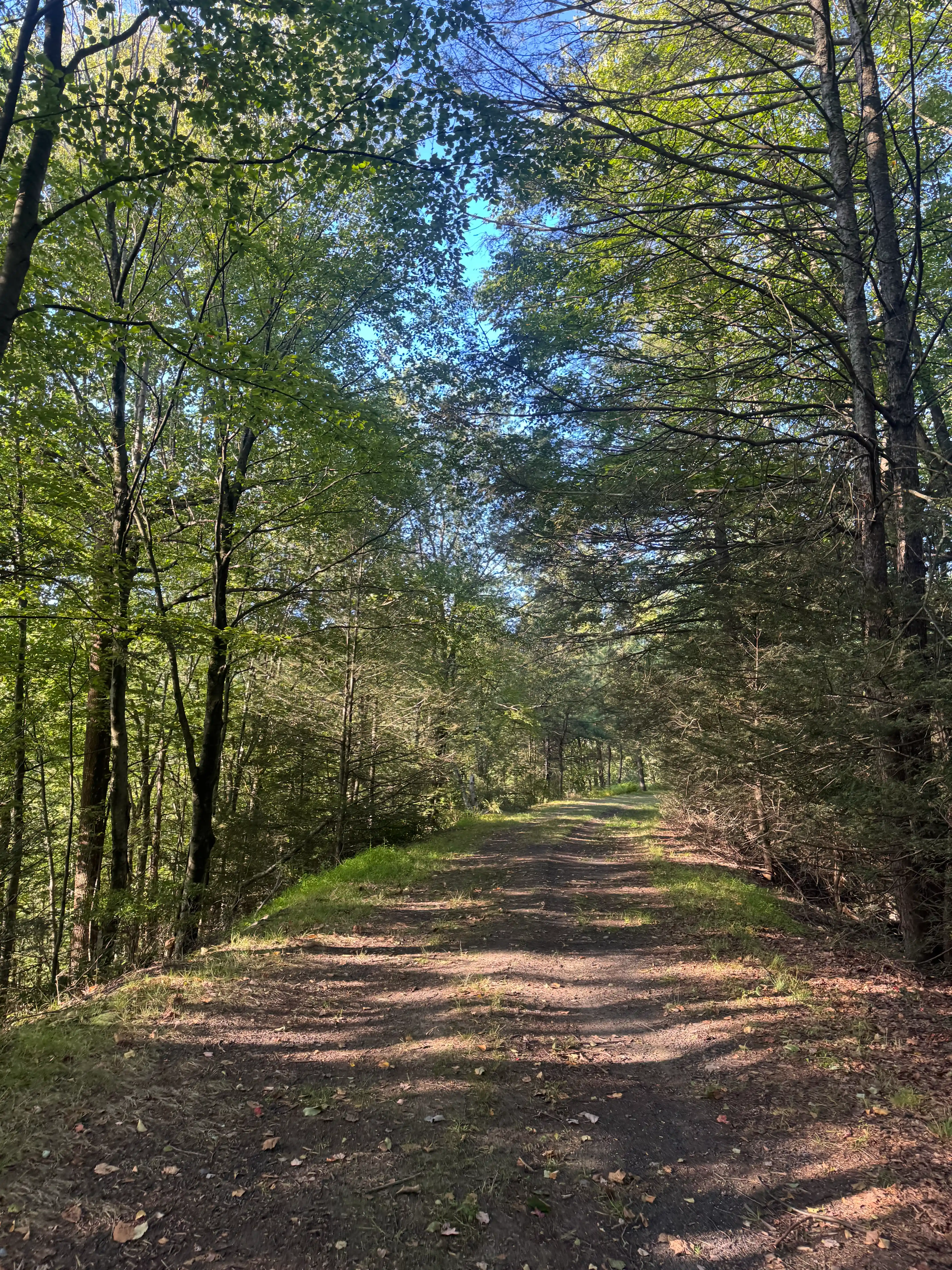 Quiet wooded trail near Mountain Luxury Vacation